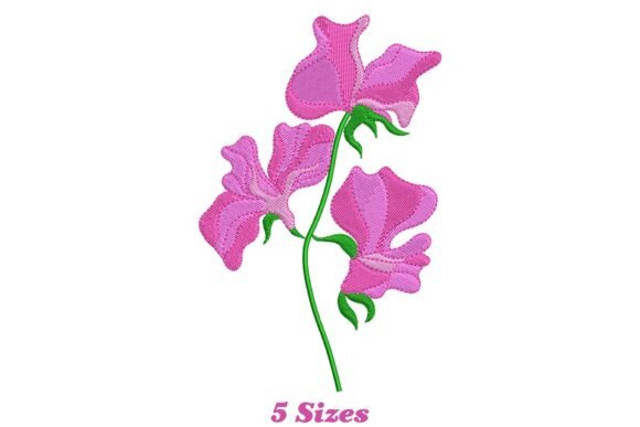 Elegant Sweet Pea Flower